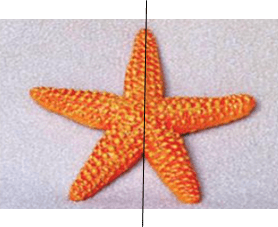 Thực hành 2 trang 54 Toán 6 tập 2 SGK Chân trời sáng tạo