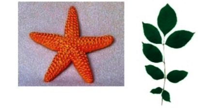 Thực hành 2 trang 54 Toán 6 tập 2 SGK Chân trời sáng tạo