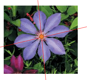 Thực hành 2 trang 57 Toán 6 tập 2 SGK Chân trời sáng tạo