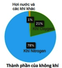 Vận dụng 2 trang 39 Toán 6 tập 2 SGK Kết nối tri thức với cuộc sống