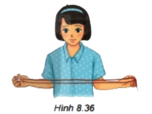 Hoạt động 2 trang 55 Toán 6 tập 2 SGK Kết nối tri thức với cuộc sống