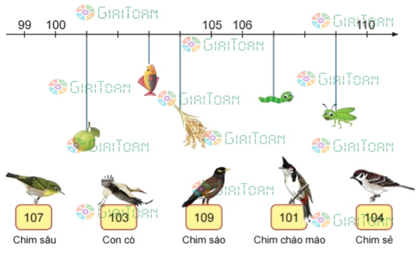 Bài 2 trang 43 Toán lớp 2 tập 2 SGK Chân trời sáng tạo