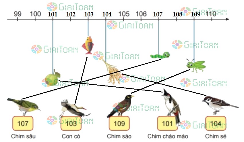 Bài 2 trang 43 Toán lớp 2 tập 2 SGK Chân trời sáng tạo