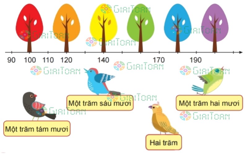Bài 5 trang 40 Toán lớp 2 tập 2 SGK Chân trời sáng tạo