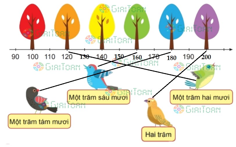Bài 5 trang 40 Toán lớp 2 tập 2 SGK Chân trời sáng tạo