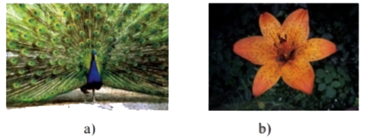 Bài 2 trang 61 Toán 6 tập 2 SGK Chân trời sáng tạo