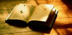 Bài 6 trang 68 Toán 6 tập 2 SGK Chân trời sáng tạo