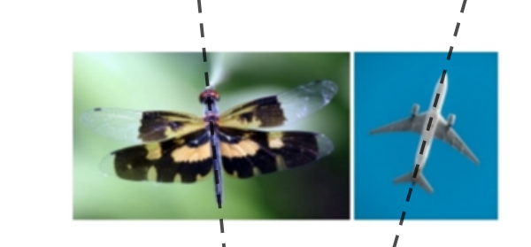 Thực hành 2 trang 60 Toán 6 tập 2 SGK Chân trời sáng tạo