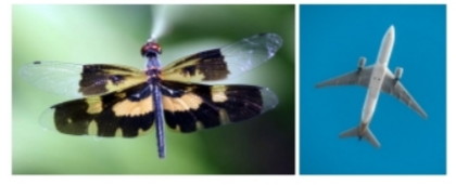 Thực hành 2 trang 60 Toán 6 tập 2 SGK Chân trời sáng tạo