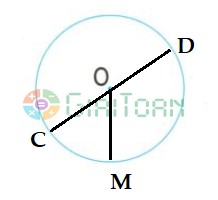 Bài 3 trang 111 Toán lớp 3