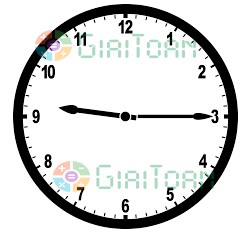 Bài 3 trang 38 Toán lớp 2 tập 2 SGK Cánh Diều