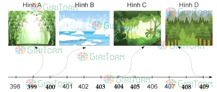 Bài 4 trang 49 Toán lớp 2 tập 2 SGK Chân trời sáng tạo