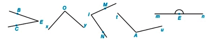 Bài 8.32 trang 64 Toán 6 tập 2 SGK Kết nối tri thức với cuộc sống