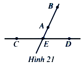 Bài 3 trang 79 Toán 6 tập 2 SGK Cánh Diều