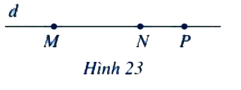 Bài 5 trang 79 Toán 6 tập 2 SGK Cánh Diều