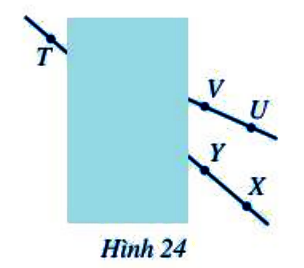 Bài 6 trang 79 Toán 6 tập 2 SGK Cánh Diều