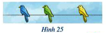 Bài 7 trang 79 Toán 6 tập 2 SGK Cánh Diều