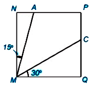 Bài 8.37 trang 66 Toán 6 tập 2 SGK Kết nối tri thức với cuộc sống