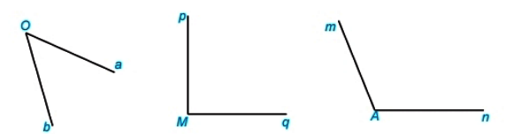 Hoạt động trang 62 Toán 6 tập 2 SGK Kết nối tri thức với cuộc sống