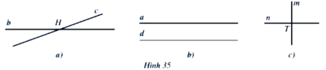 Bài 1 trang 83 Toán 6 tập 2 SGK Cánh Diều