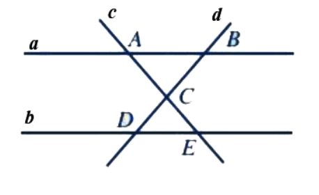 Bài 3 trang 83 Toán 6 tập 2 SGK Cánh Diều