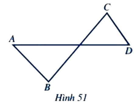 Bài 5 trang 88 Toán 6 tập 2 SGK Cánh Diều