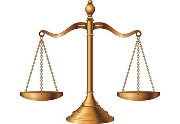 Bài 6 trang 88 Toán 6 tập 2 SGK Cánh Diều