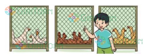 Bài 4 trang 51 Toán lớp 2 tập 2 SGK Cánh Diều