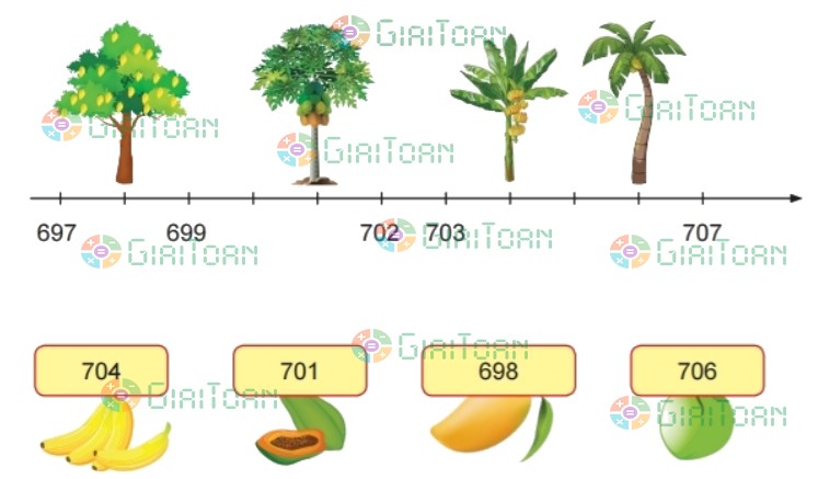 Bài 5 trang 56 Toán lớp 2 tập 2 SGK Chân trời sáng tạo