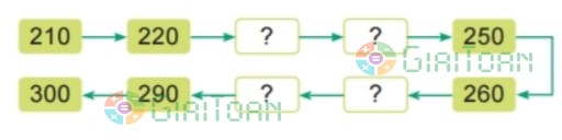 Hoạt động 1 trang 46 Toán lớp 2 tập 2 SGK Kết nối tri thức với cuộc sống