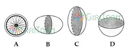 Bài tập cuối tuần lớp 5 môn Toán - Tuần 24