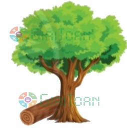 Bài 4 trang 68 Toán lớp 2 tập 2 SGK Chân trời sáng tạo