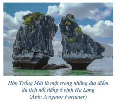 Câu hỏi trang 57 Toán 6 tập 2 SGK Cánh Diều