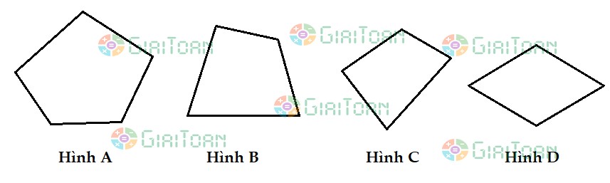 Đề thi giữa học kì 2 môn Toán lớp 2 sách Chân trời sáng tạo năm học 2021 - 2022 Đề số 5