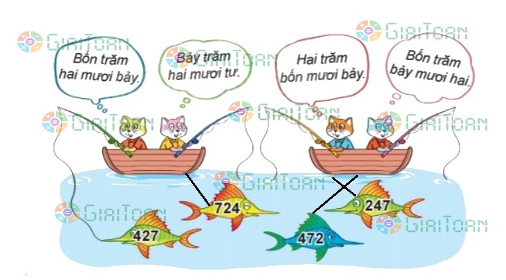 Hoạt động 1 trang 50 Toán lớp 2 tập 2 SGK Kết nối tri thức với cuộc sống