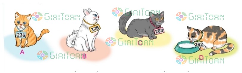 Bài 2 trang 60 Toán lớp 2 tập 2 SGK Kết nối tri thức với cuộc sống