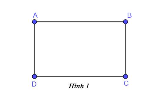 Hoạt động trang 77 Toán 6 tập 2 SGK Chân trời sáng tạo