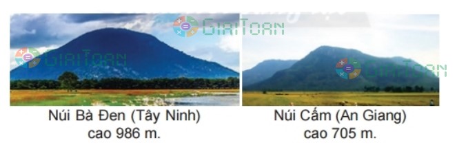 Bài 5 trang 84 Toán lớp 2 tập 2 SGK Chân trời sáng tạo