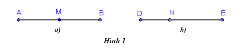 Hoạt động trang 83 Toán 6 tập 2 SGK Chân trời sáng tạo