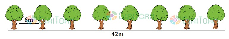 Trên đoạn đường dài 42m người ta trồng 8 cây cách đều nhau và 2 đầu đường đều có cây