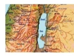 Vận dụng 4 trang 47 Toán 6 tập 2 SGK Chân trời sáng tạo