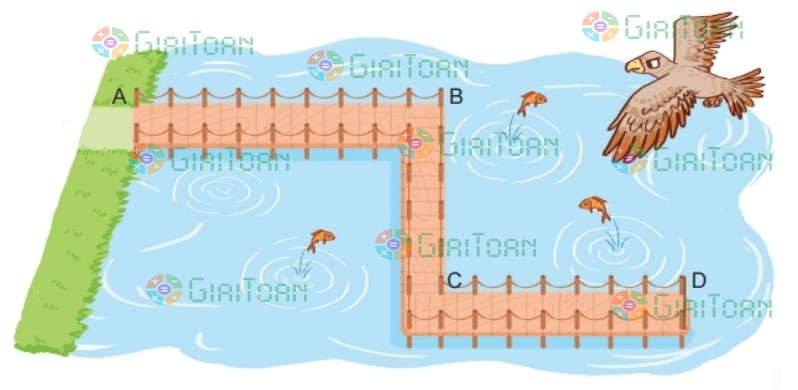 Bài 2 trang 75 Toán lớp 2 tập 2 SGK Kết nối tri thức với cuộc sống