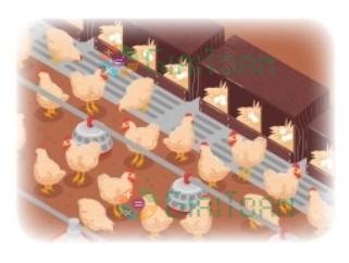 Bài 6 trang 91 Toán lớp 2 tập 2 SGK Chân trời sáng tạo