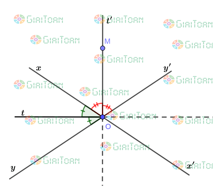 Bài 33 trang 70 SGK Toán 7 tập 2