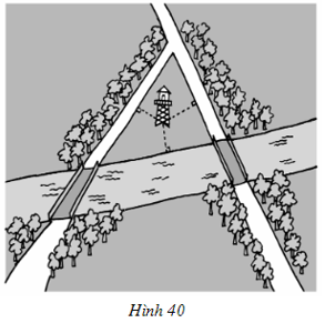 Bài 43 trang 73 SGK Toán 7 tập 2