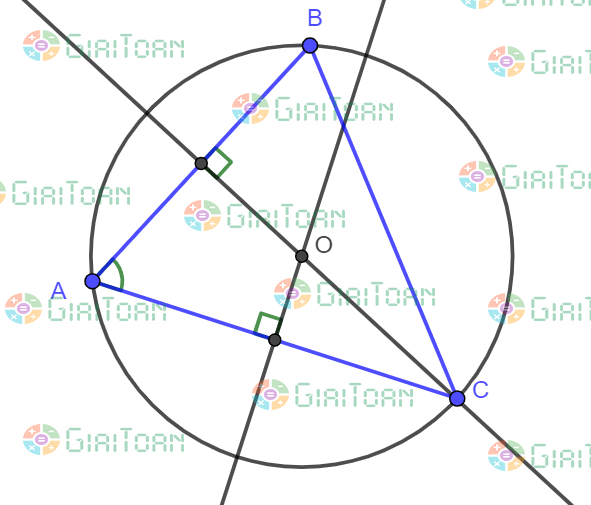 Bài 53 trang 80 SGK Toán 7 tập 2