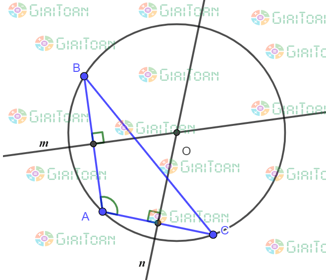 Bài 54 trang 80 SGK Toán 7 tập 2
