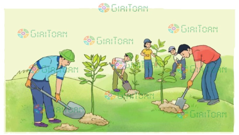 Bài 6 trang 63 Toán lớp 2 tập 2 SGK Cánh Diều