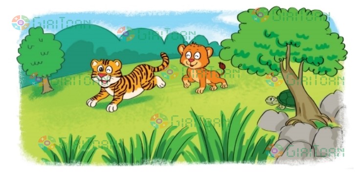 Bài 3 trang 81 Toán lớp 2 tập 2 SGK Kết nối tri thức với cuộc sống