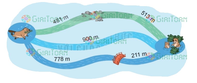 Bài 5 trang 82 Toán lớp 2 tập 2 SGK Kết nối tri thức với cuộc sống